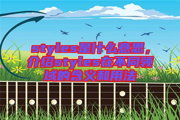 styles是什么意思，介紹styles在不同領(lǐng)域的含義和用法