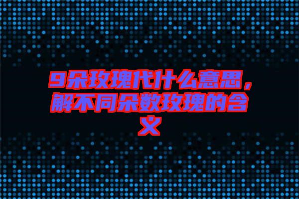 9朵玫瑰代什么意思，解不同朵數(shù)玫瑰的含義