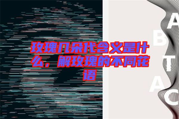 玫瑰幾朵代含義是什么，解玫瑰的不同花語