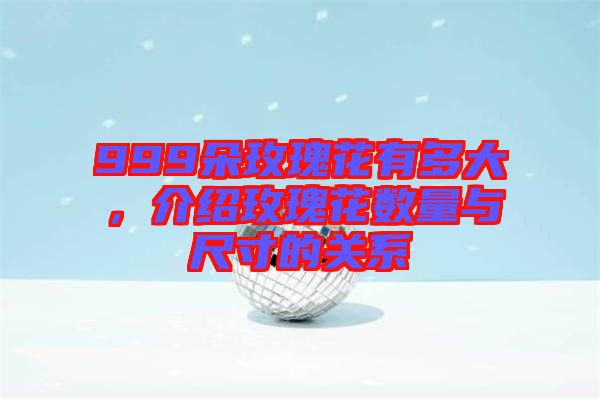 999朵玫瑰花有多大，介紹玫瑰花數(shù)量與尺寸的關(guān)系