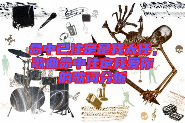 命中已注定是我太任，歌曲命中注定我愛你的歌詞分析