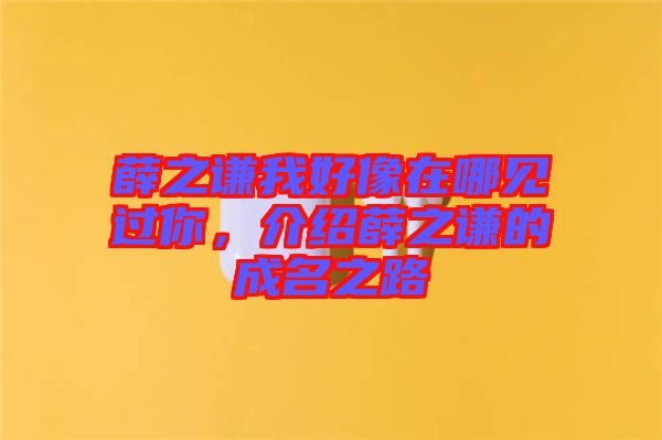 薛之謙我好像在哪見過你，介紹薛之謙的成名之路