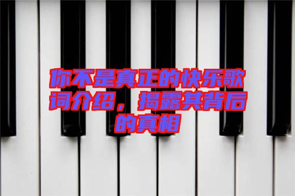 你不是真正的快樂歌詞介紹，揭露其背后的真相