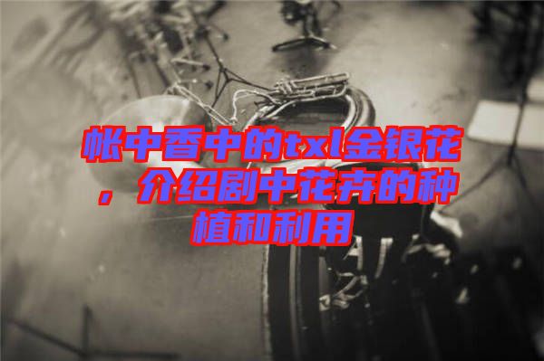 帳中香中的txl金銀花，介紹劇中花卉的種植和利用