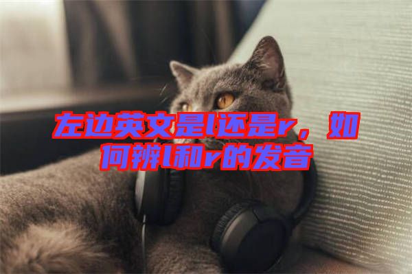 左邊英文是l還是r，如何辨l和r的發(fā)音