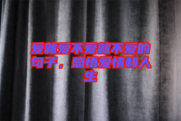 愛就愛不愛就不愛的句子，感悟愛情和人生