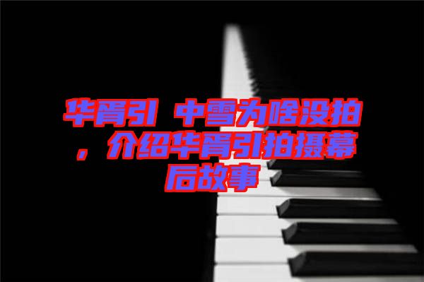 華胥引柸中雪為啥沒拍，介紹華胥引拍攝幕后故事