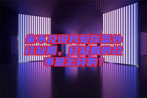來不及說我愛你番外枉凝眉，枉凝眉的故事是怎樣的？