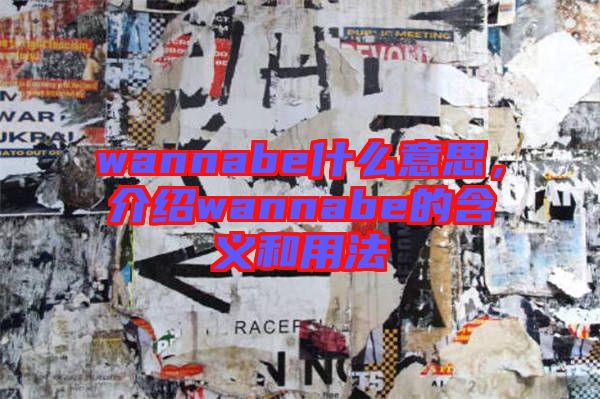 wannabe什么意思，介紹wannabe的含義和用法