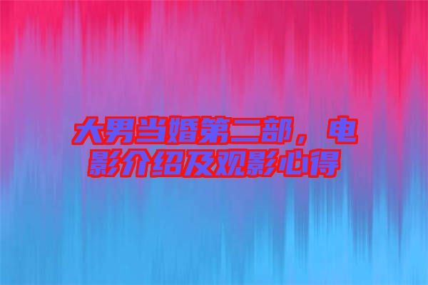 大男當(dāng)婚第二部，電影介紹及觀影心得