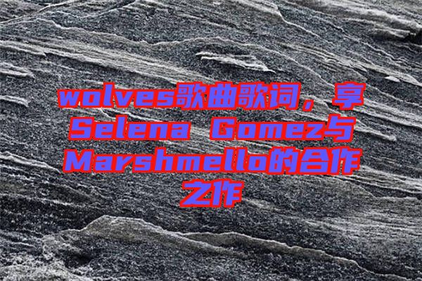 wolves歌曲歌詞，享Selena Gomez與Marshmello的合作之作
