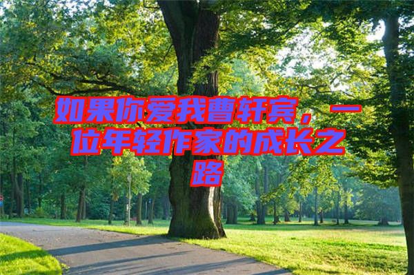 如果你愛我曹軒賓，一位年輕作家的成長之路