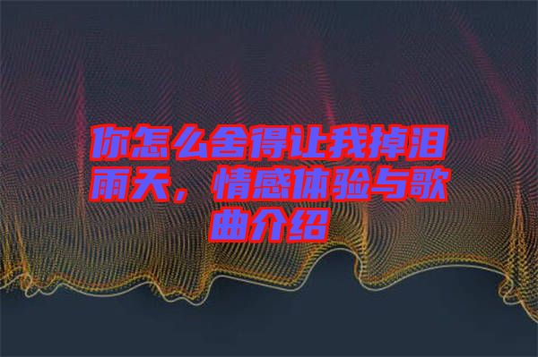 你怎么舍得讓我掉淚雨天，情感體驗(yàn)與歌曲介紹