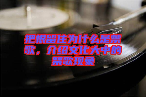 把根留住為什么是禁歌，介紹文化大中的禁歌現(xiàn)象