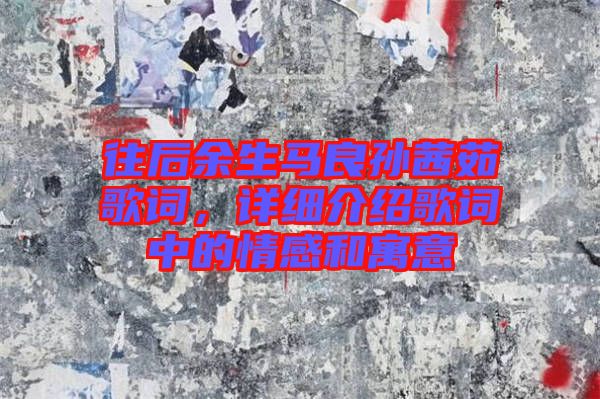 往后余生馬良孫茜茹歌詞，詳細(xì)介紹歌詞中的情感和寓意