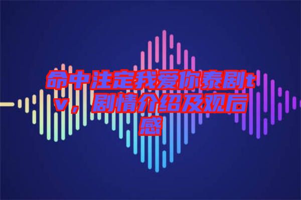 命中注定我愛你泰劇tv，劇情介紹及觀后感