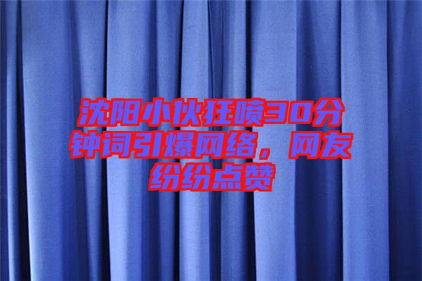 沈陽(yáng)小伙狂噴30分鐘詞引爆網(wǎng)絡(luò)，網(wǎng)友紛紛點(diǎn)贊