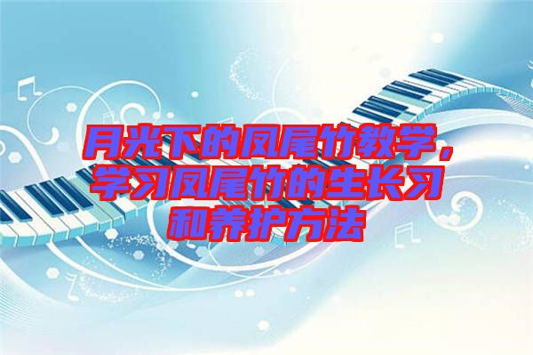 月光下的鳳尾竹教學(xué)，學(xué)習(xí)鳳尾竹的生長(zhǎng)習(xí)和養(yǎng)護(hù)方法