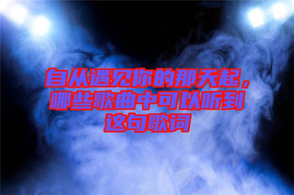 自從遇見你的那天起，哪些歌曲中可以聽到這句歌詞