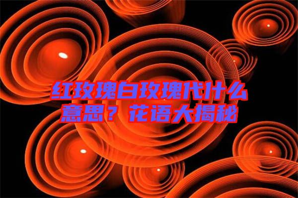 紅玫瑰白玫瑰代什么意思？花語大揭秘
