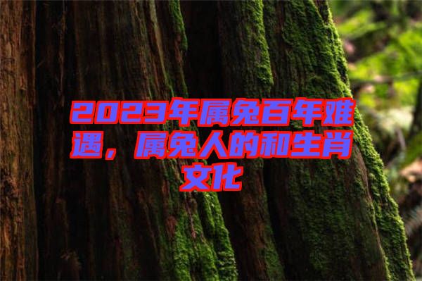 2023年屬兔百年難遇，屬兔人的和生肖文化