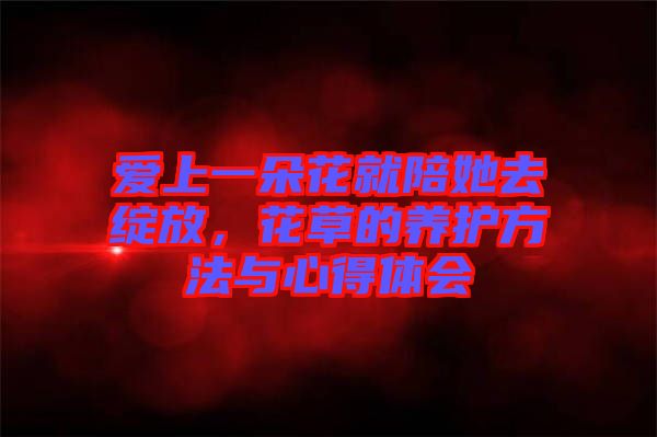 愛上一朵花就陪她去綻放，花草的養(yǎng)護(hù)方法與心得體會