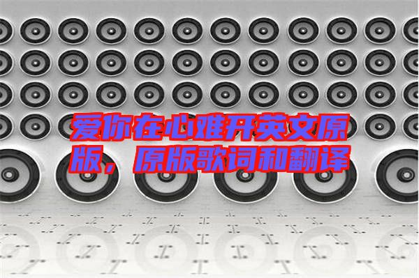 愛(ài)你在心難開(kāi)英文原版，原版歌詞和翻譯
