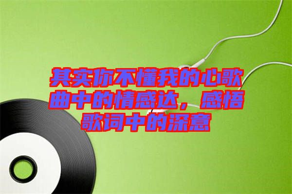 其實(shí)你不懂我的心歌曲中的情感達(dá)，感悟歌詞中的深意