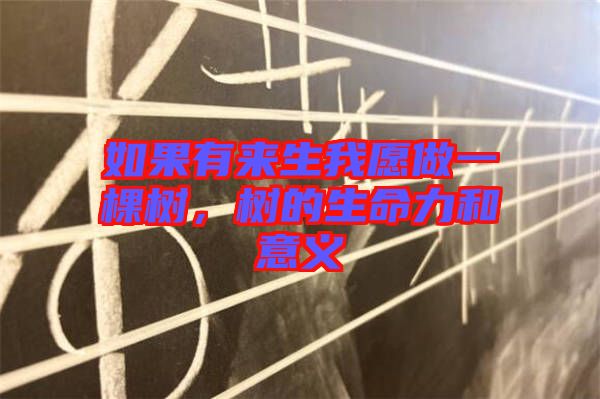 如果有來生我愿做一棵樹，樹的生命力和意義