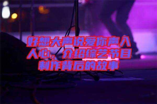 好想大聲說愛你聲入人心，介紹綜藝節(jié)目制作背后的故事