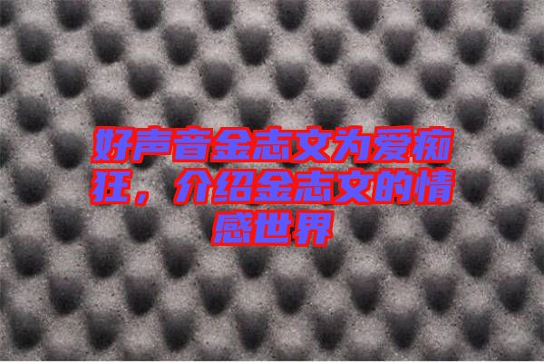 好聲音金志文為愛癡狂，介紹金志文的情感世界