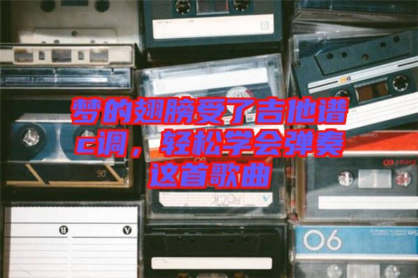 夢的翅膀受了吉他譜c調，輕松學會彈奏這首歌曲