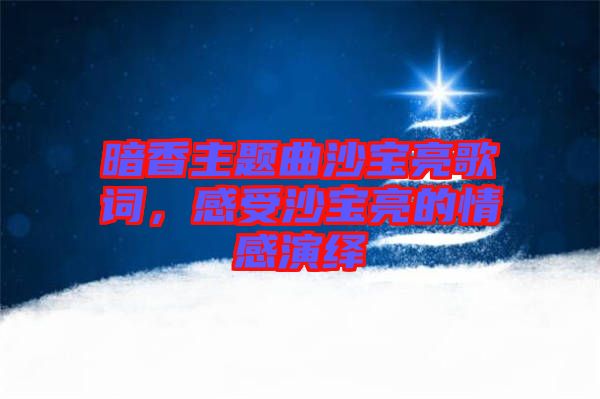 暗香主題曲沙寶亮歌詞，感受沙寶亮的情感演繹