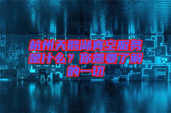 杭州天鵝湖真空服務(wù)是什么？你需要了解的一切