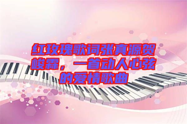 紅玫瑰歌詞張真源賀峻霖，一首動人心弦的愛情歌曲