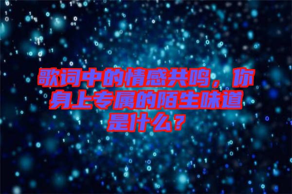 歌詞中的情感共鳴，你身上專(zhuān)屬的陌生味道是什么？