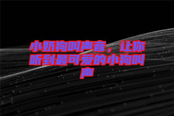小奶狗叫聲音，讓你聽到最可愛的小狗叫聲