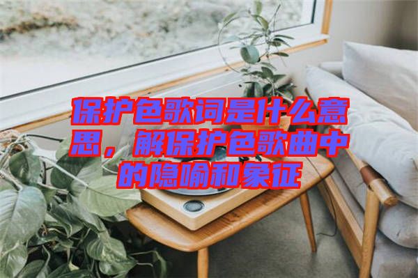 保護(hù)色歌詞是什么意思，解保護(hù)色歌曲中的隱喻和象征