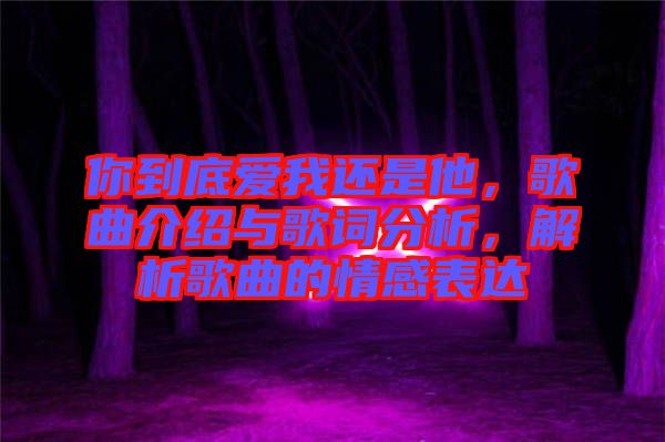你到底愛我還是他，歌曲介紹與歌詞分析，解析歌曲的情感表達(dá)