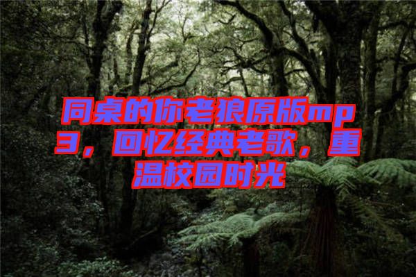 同桌的你老狼原版mp3，回憶經(jīng)典老歌，重溫校園時光