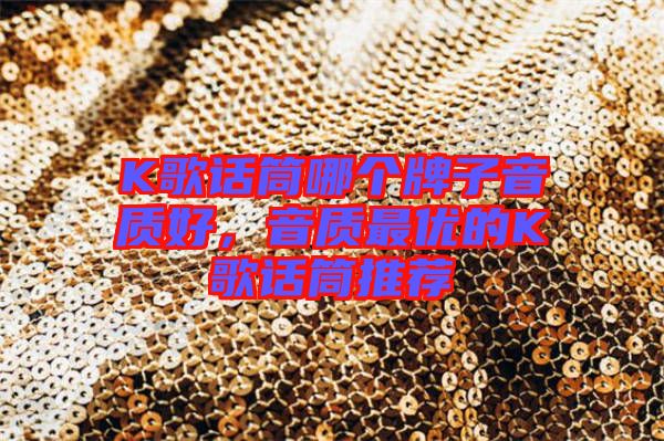 K歌話筒哪個牌子音質(zhì)好，音質(zhì)最優(yōu)的K歌話筒推薦