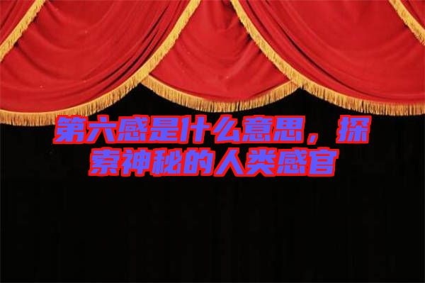第六感是什么意思，探索神秘的人類感官