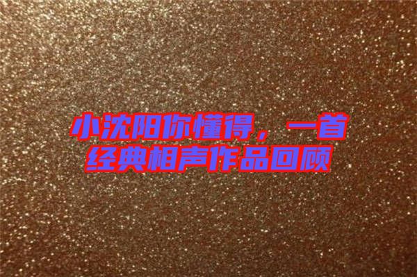 小沈陽(yáng)你懂得，一首經(jīng)典相聲作品回顧