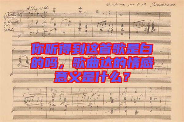 你聽得到這首歌是白的嗎，歌曲達(dá)的情感意義是什么？