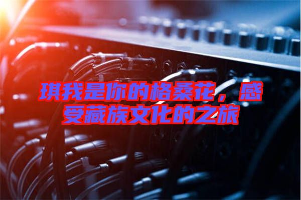琪我是你的格?；?，感受藏族文化的之旅