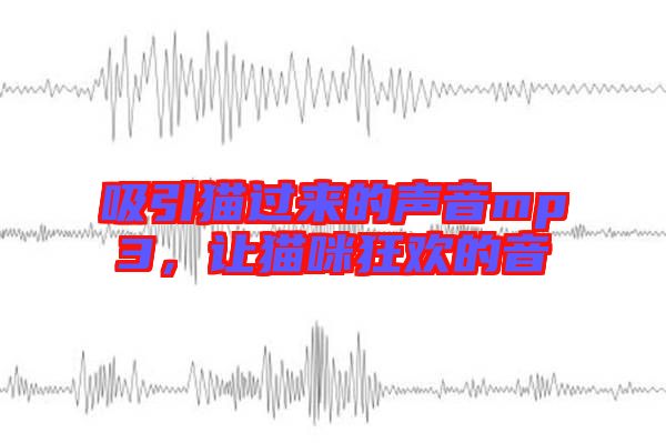 吸引貓過來的聲音mp3，讓貓咪狂歡的音