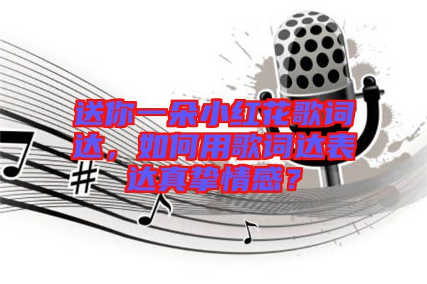 送你一朵小紅花歌詞達，如何用歌詞達表達真摯情感？