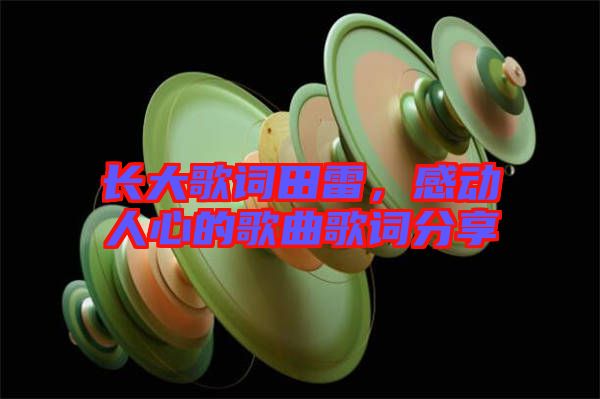 長(zhǎng)大歌詞田雷，感動(dòng)人心的歌曲歌詞分享