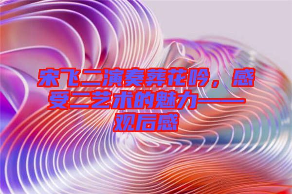 宋飛二演奏葬花吟，感受二藝術的魅力——觀后感