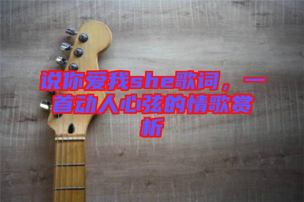 說你愛我she歌詞，一首動人心弦的情歌賞析
